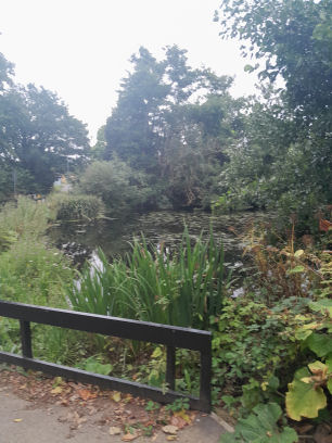 Whiteknights Park